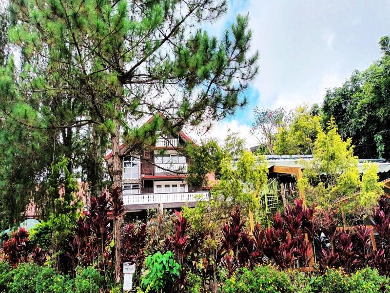 Safari Lodge Baguio by Log Cabin Hotel image