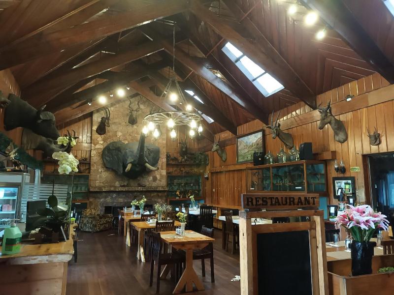 Safari Lodge Baguio by Log Cabin Hotel image