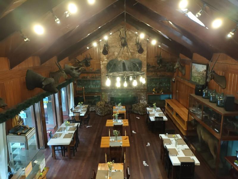 Safari Lodge Baguio by Log Cabin Hotel image