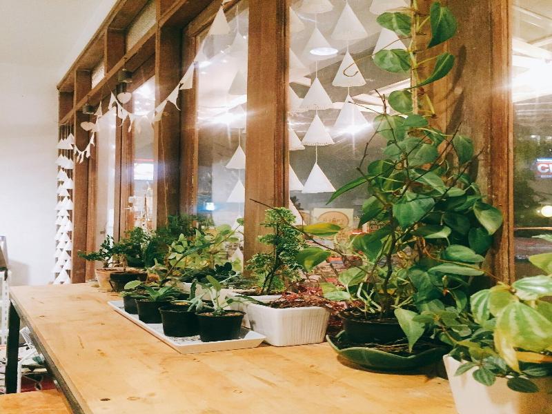 Rimnim Hostel Chiangmai