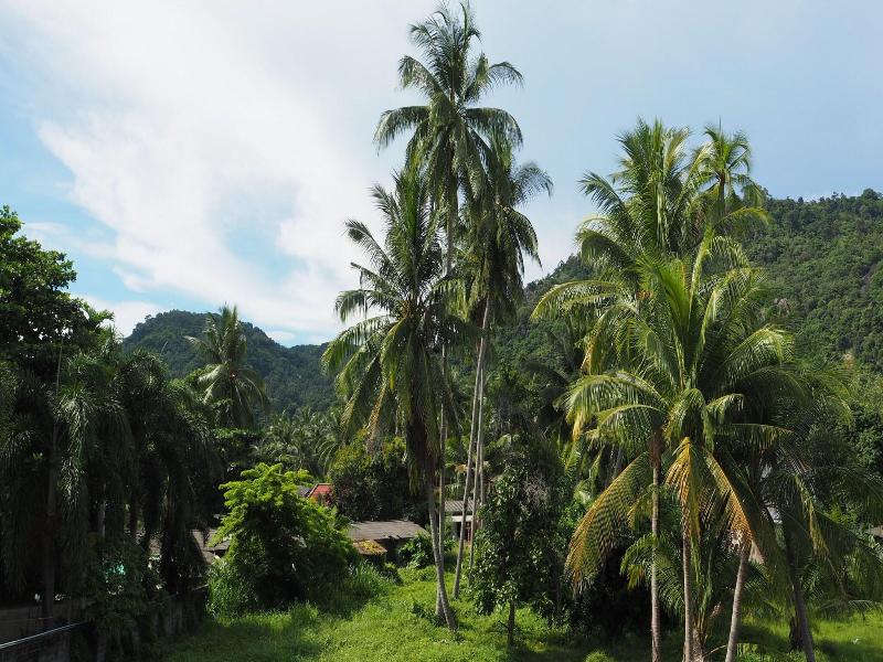 Crystal Lamai Hotel image