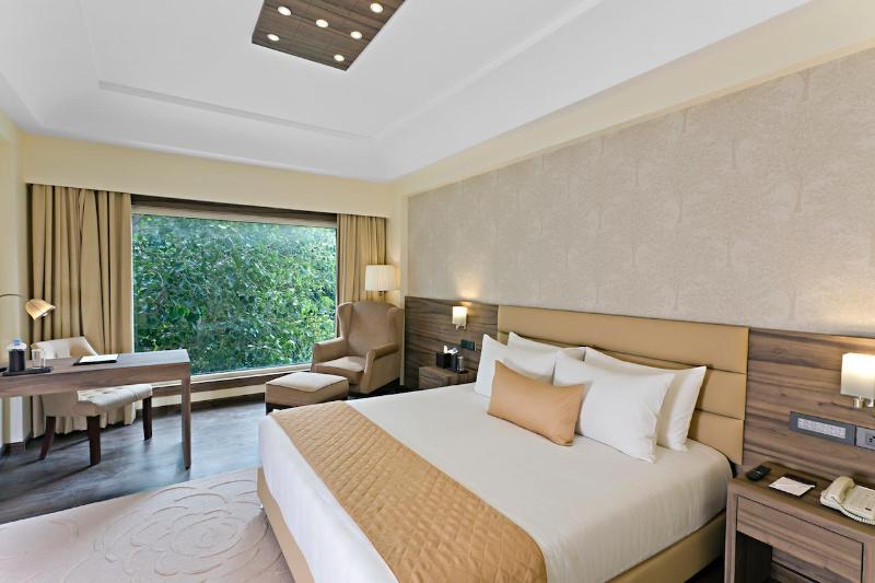 Udman Hotels And Resorts By Ferns N Petals — photo 5