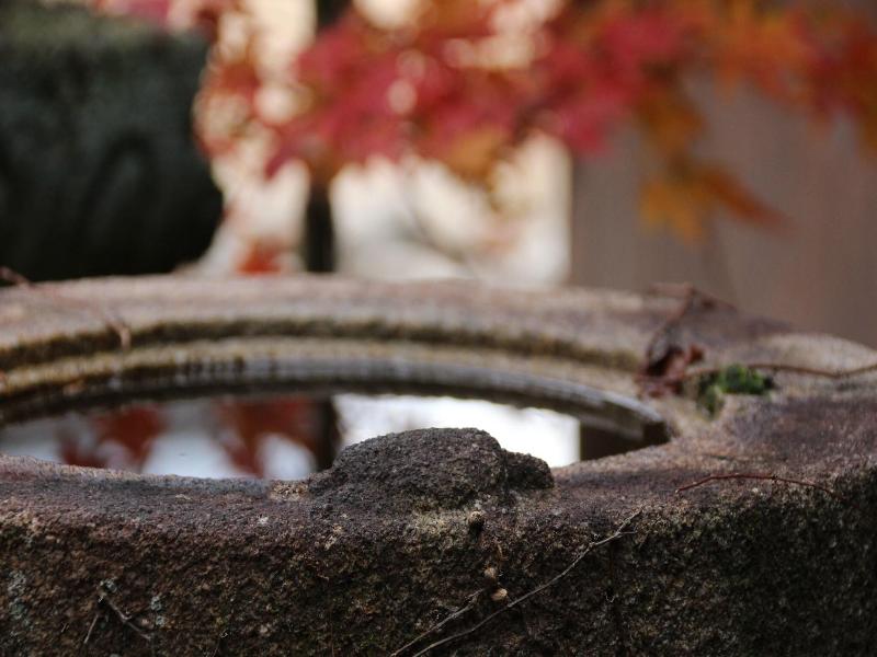 HARUYA Naramachi image