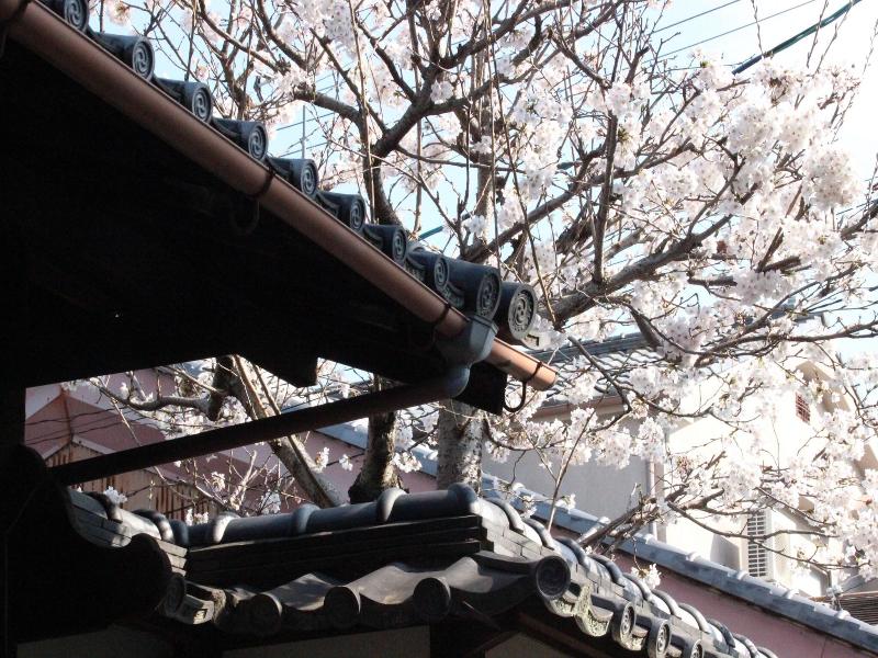 HARUYA Naramachi image