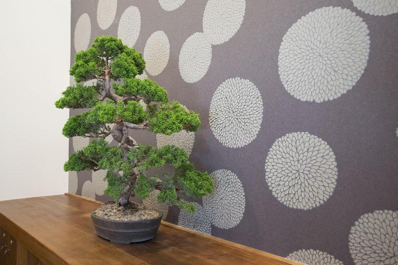 Hiromas Hostel Kanda — photo 4