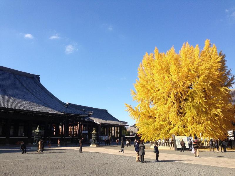 Apa Villa Hotel Kyoto Ekimae image