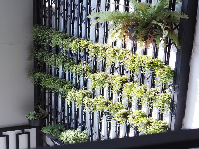Bloom Boutique Hotel And Cafe image