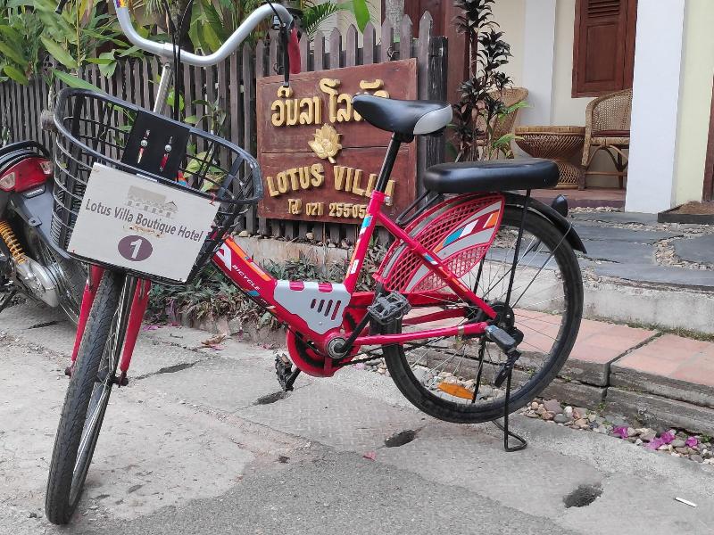 Lotus Villa  Hotel image