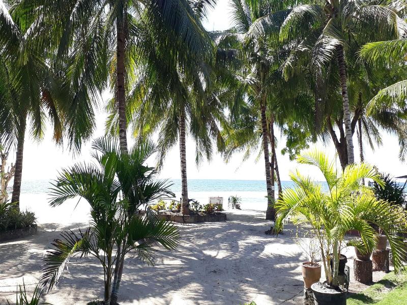 Panglao Grande Resort image