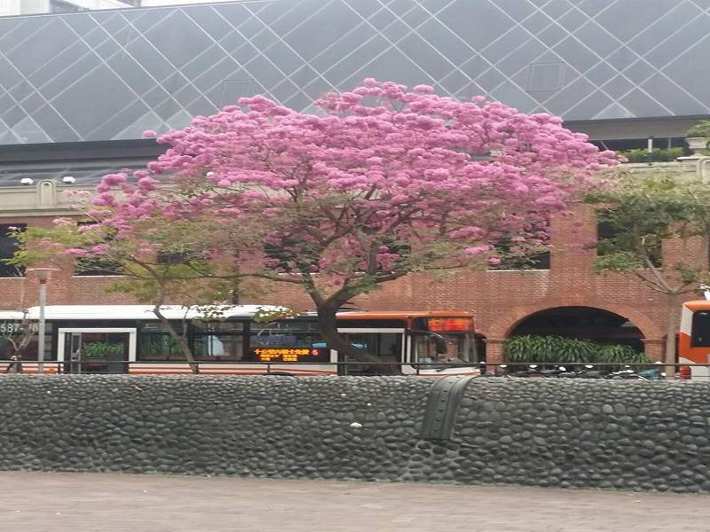 Shin Sei Bashi Hotel image