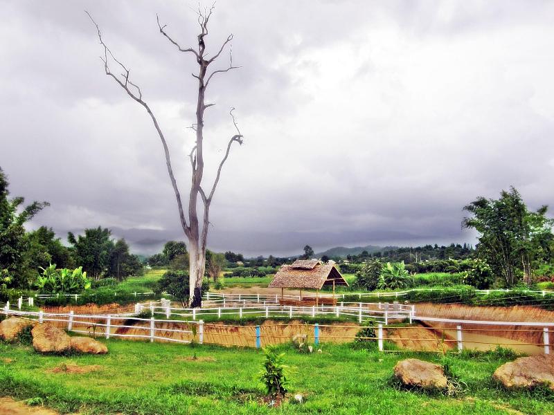 Pai Iyara Resort image