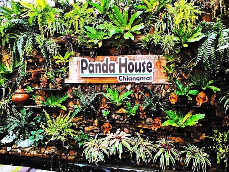 Panda House Chiangmai image