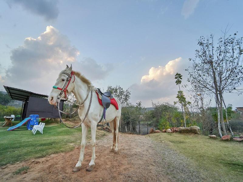 Lohagarh Fort Resort image