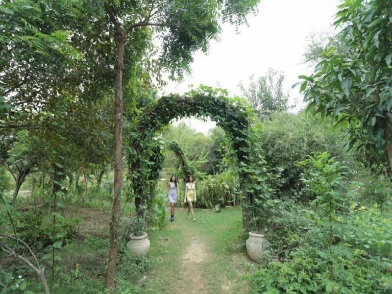 Lohagarh Fort Resort image