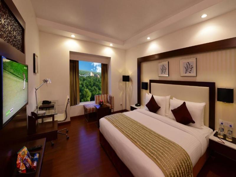 Lords Inn Jodhpur image