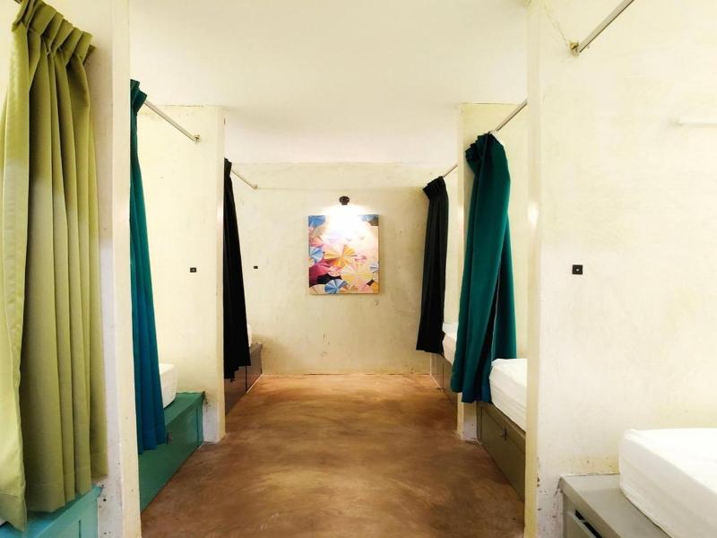 Beds In Garden Hostel