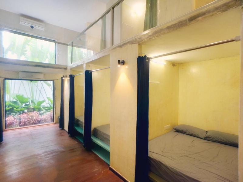 Beds In Garden Hostel