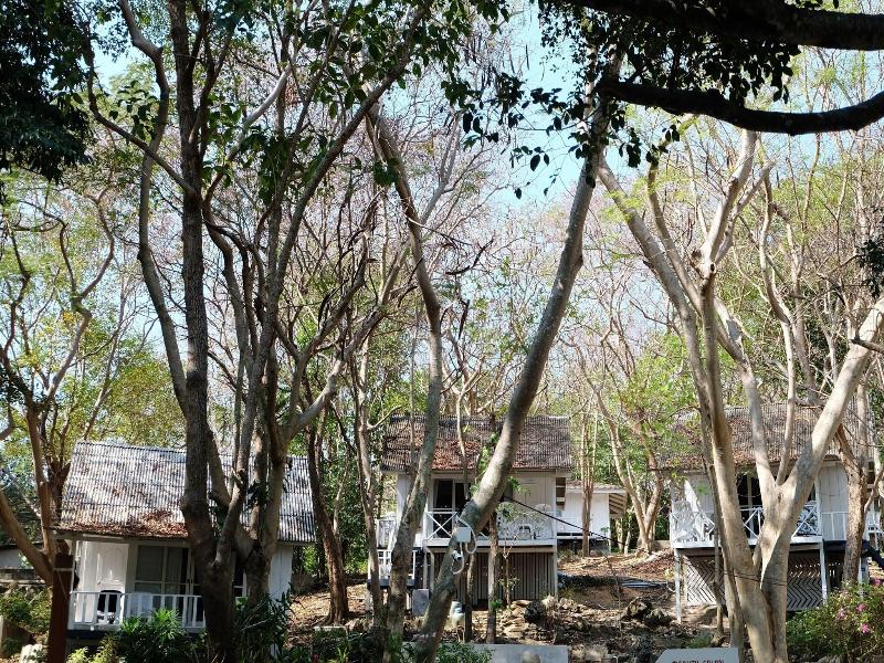 The C Samet Beach Resort image