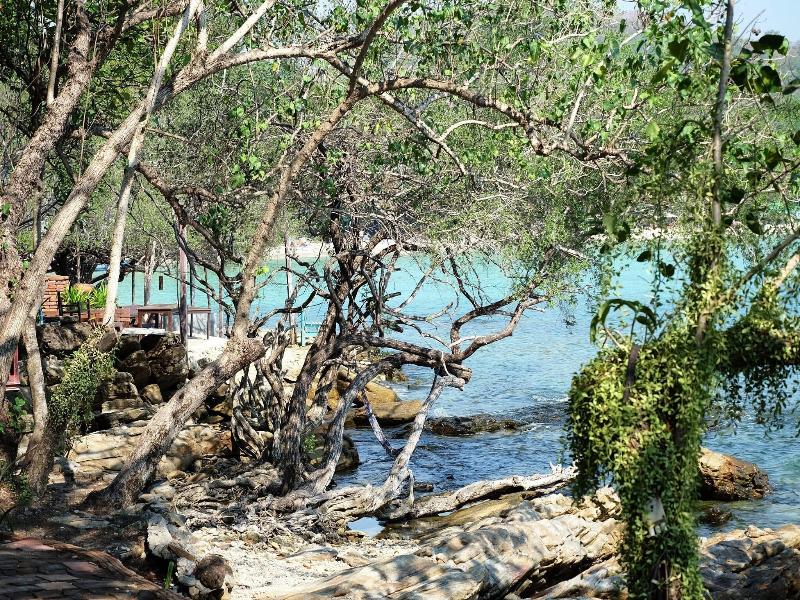 The C Samet Beach Resort image
