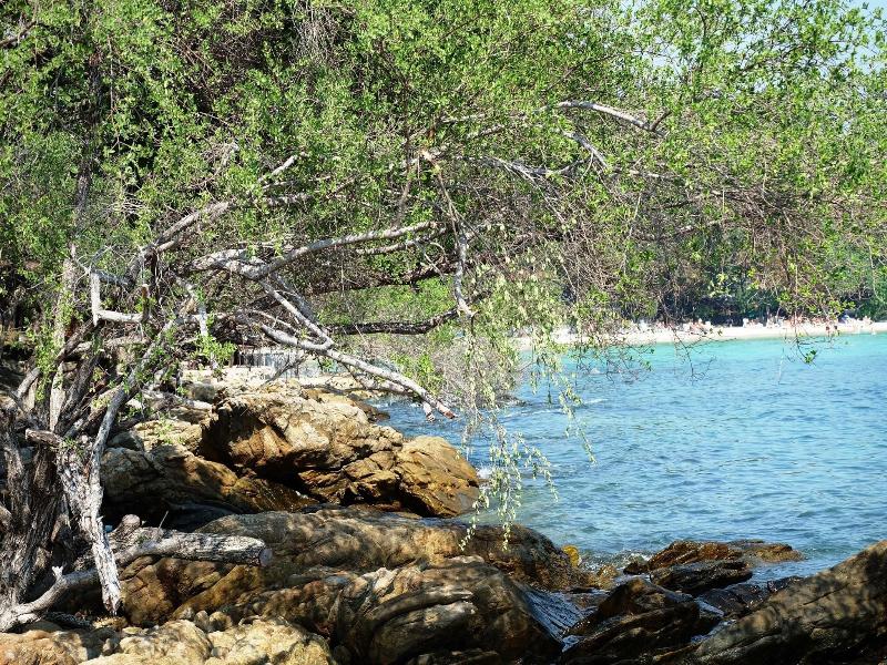 The C Samet Beach Resort image