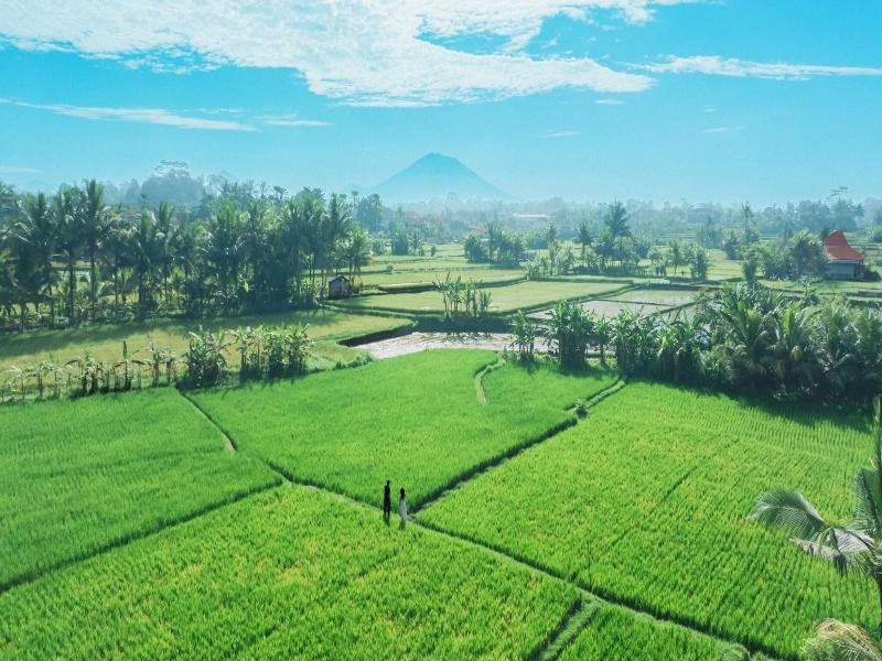 Temuku Villas Ubud image