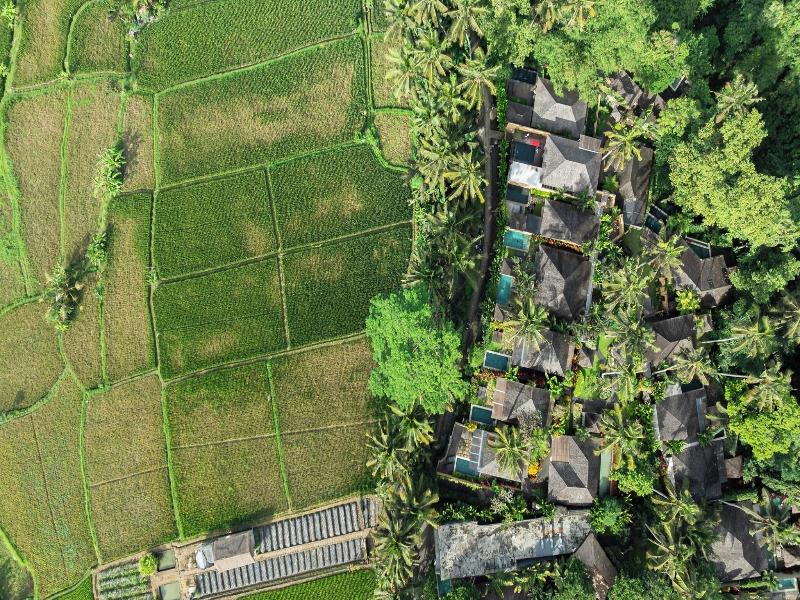 Temuku Villas Ubud image