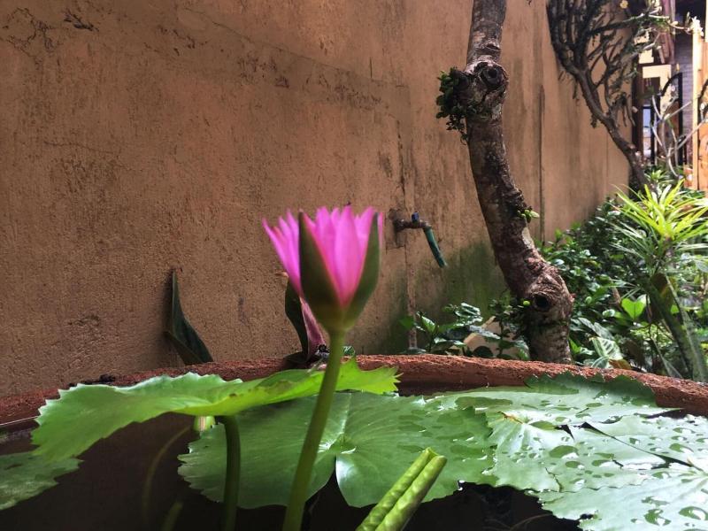 Bulan Bali Homestay image