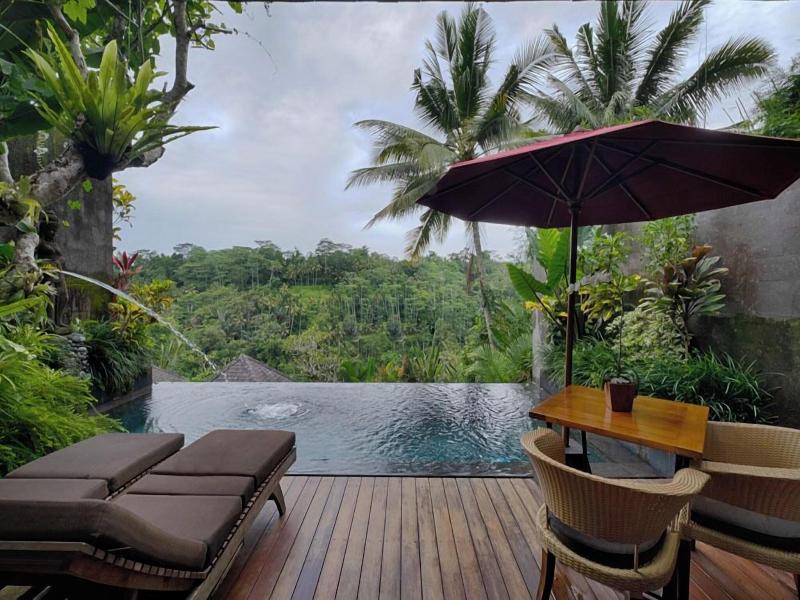 Black Penny Villas Ubud image