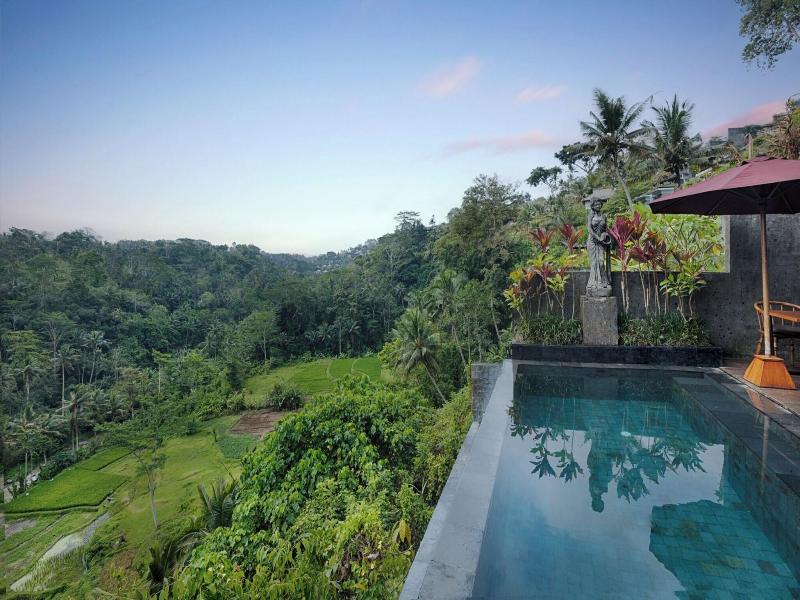 Black Penny Villas Ubud image