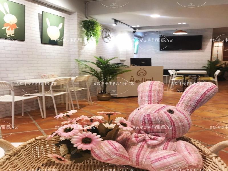 tourist Bunny Hostel image