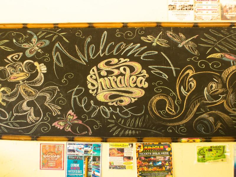 Shiralea Backpackers Resort image