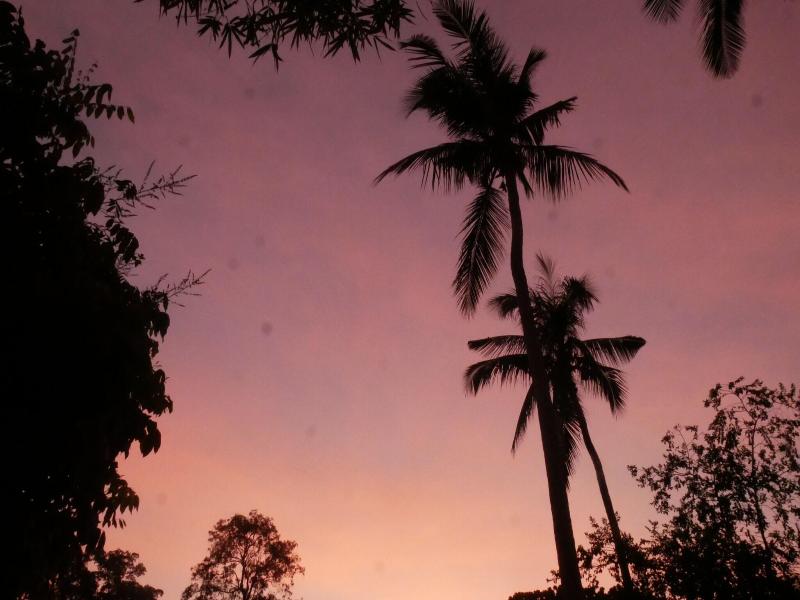 Shiralea Backpackers Resort image