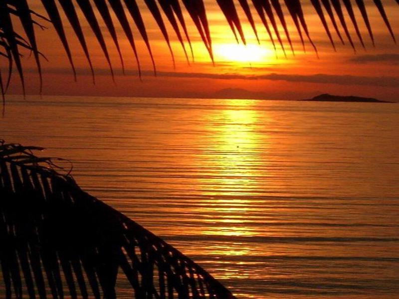 Shiralea Backpackers Resort image