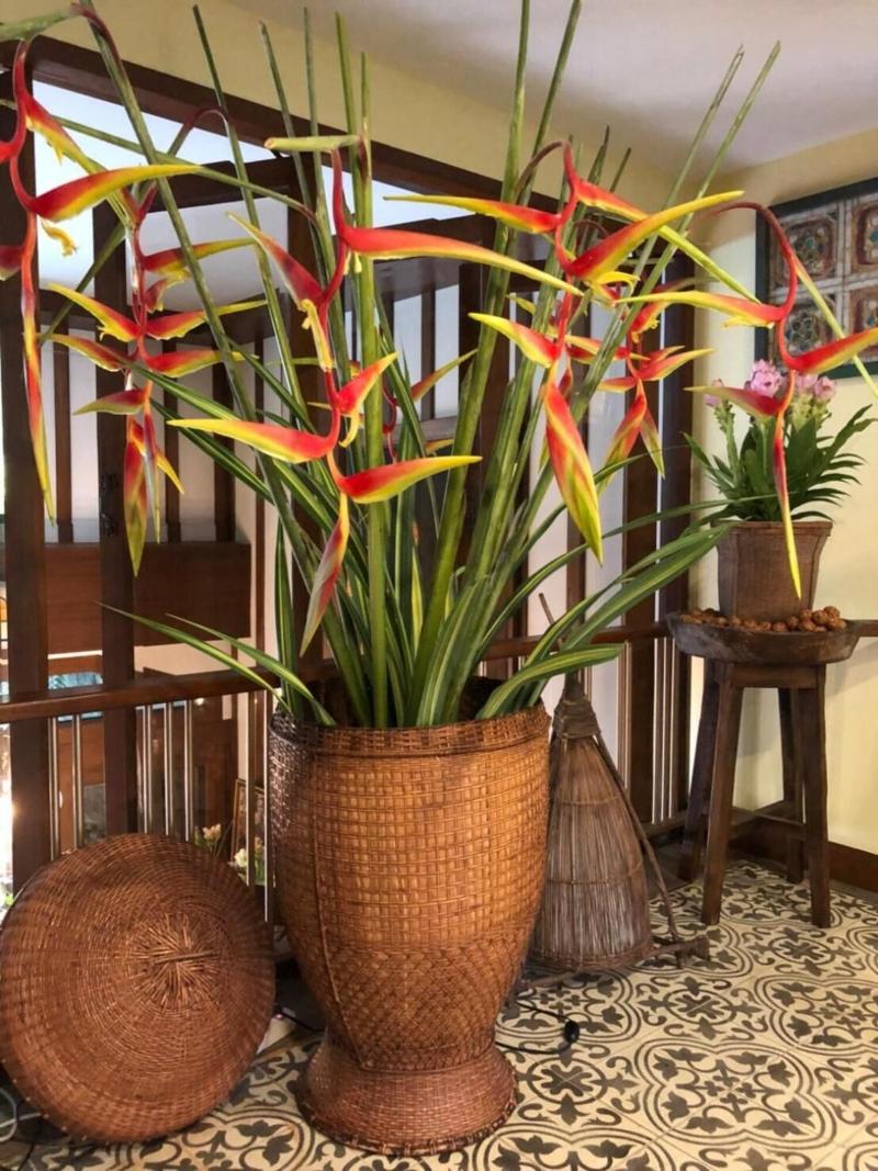Wannamas Chiangmai Boutique House image