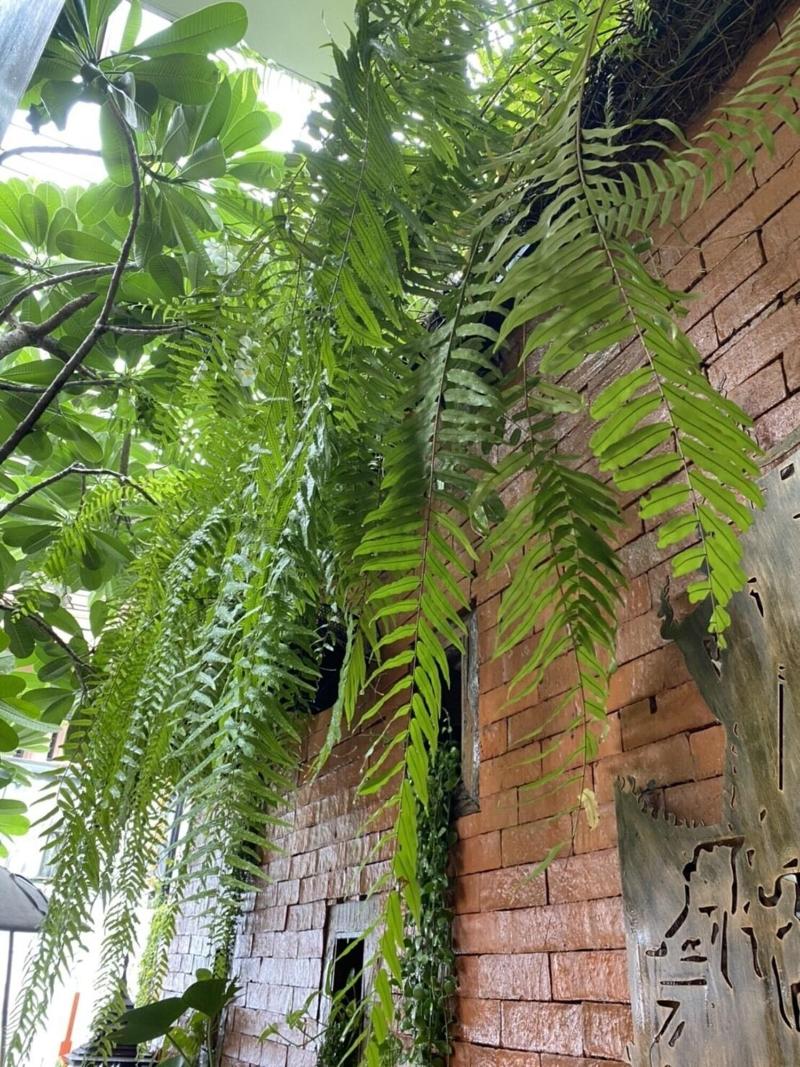 Wannamas Chiangmai Boutique House image