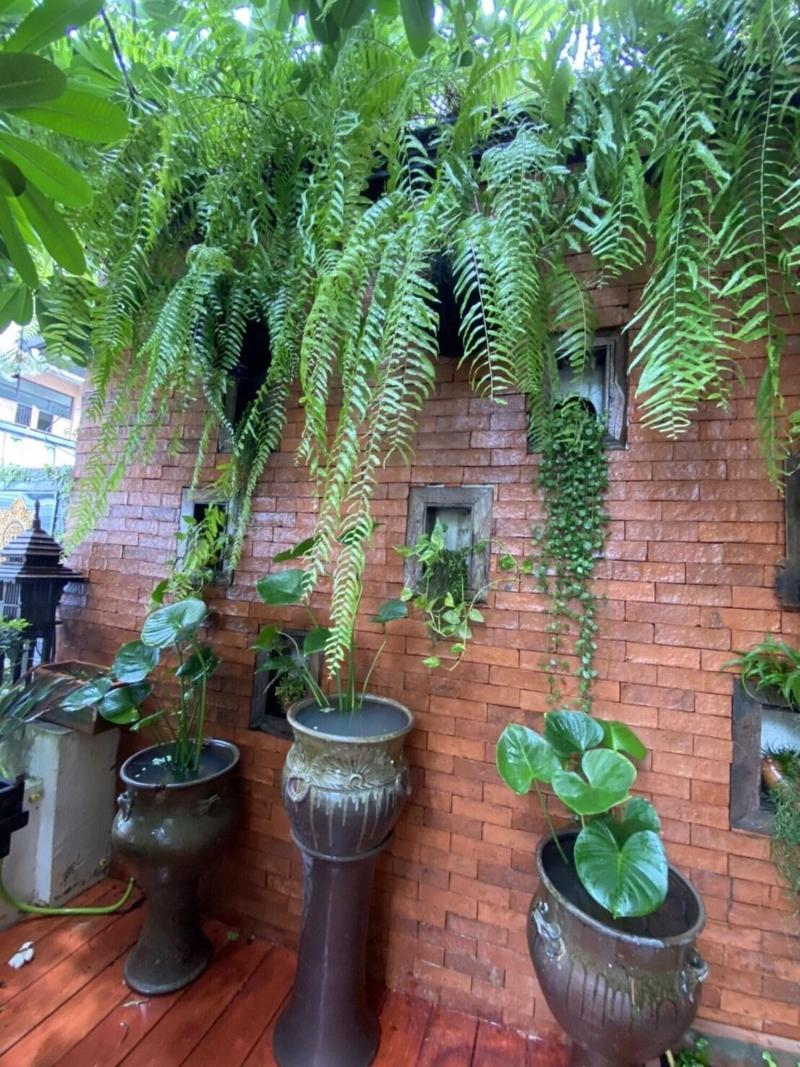 Wannamas Chiangmai Boutique House image
