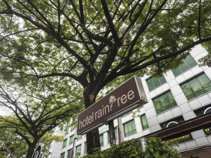 Raintree Hotel image