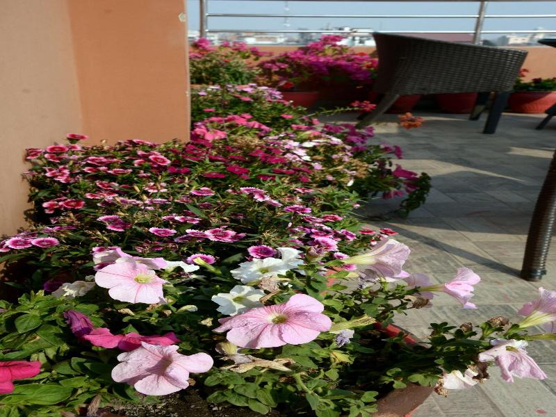 Kasthamandap Boutique Hotel image