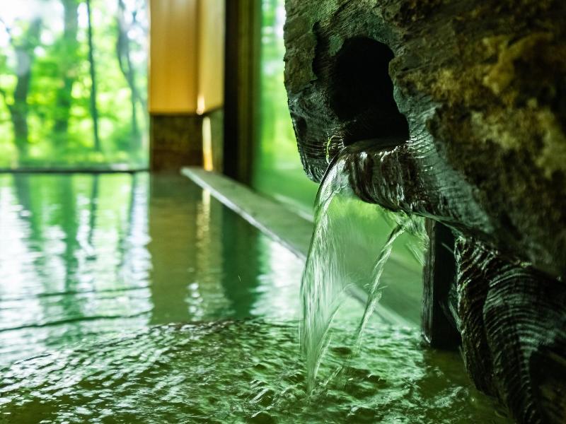 Hakone Onsen Sanso Nakamura image