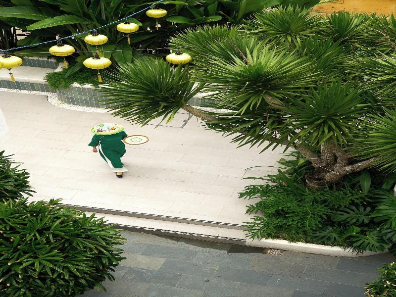 Banana Garden Villa image
