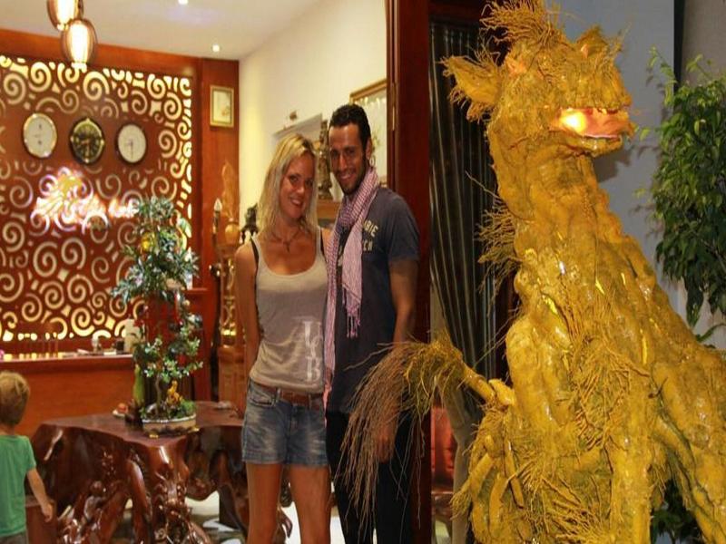 Hoi An Golden Horse Villa image