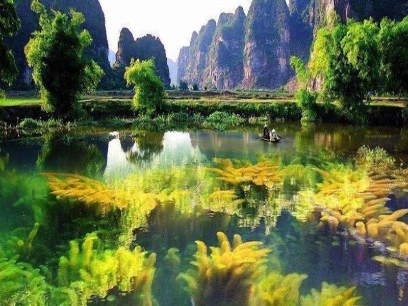 Camellia Hotel Ninh Binh image