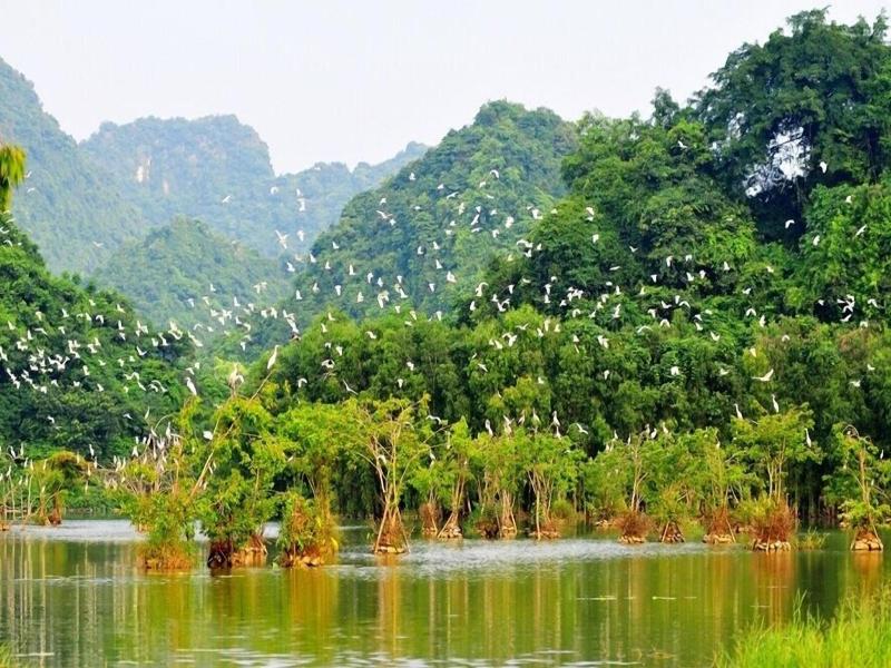 Camellia Hotel Ninh Binh image