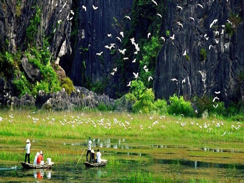 Camellia Hotel Ninh Binh image