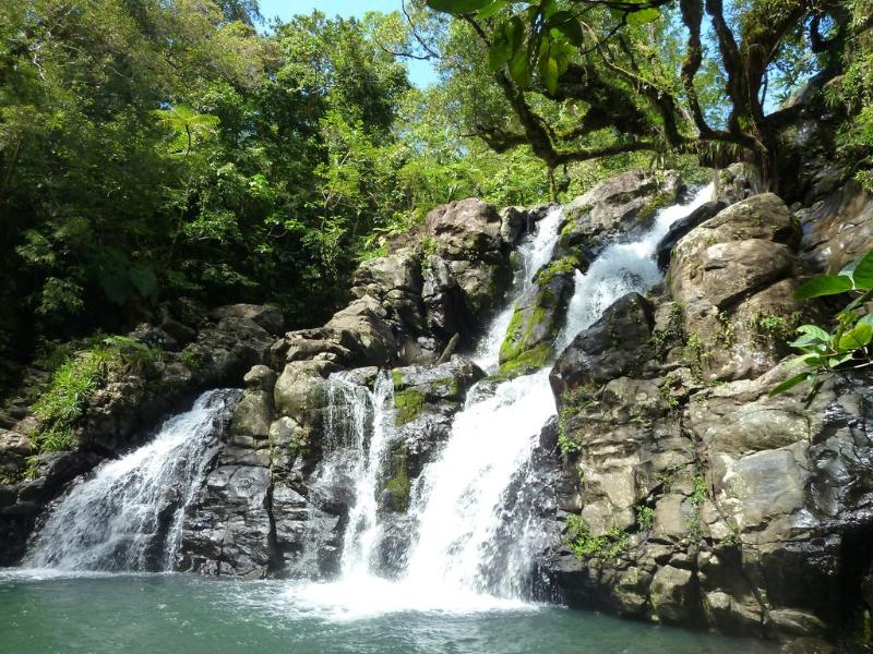 Maravu Taveuni Lodge image