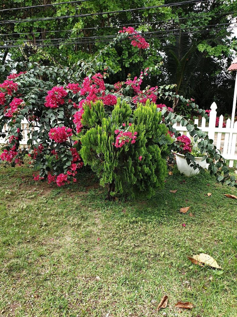 Villa Authentique image