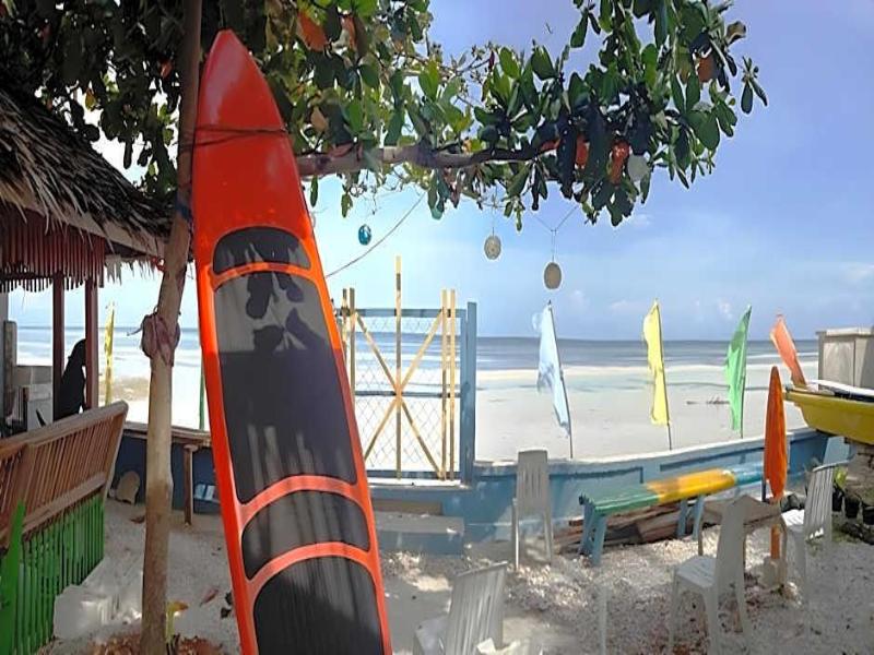 PEDZ CING MANGO LODGE image