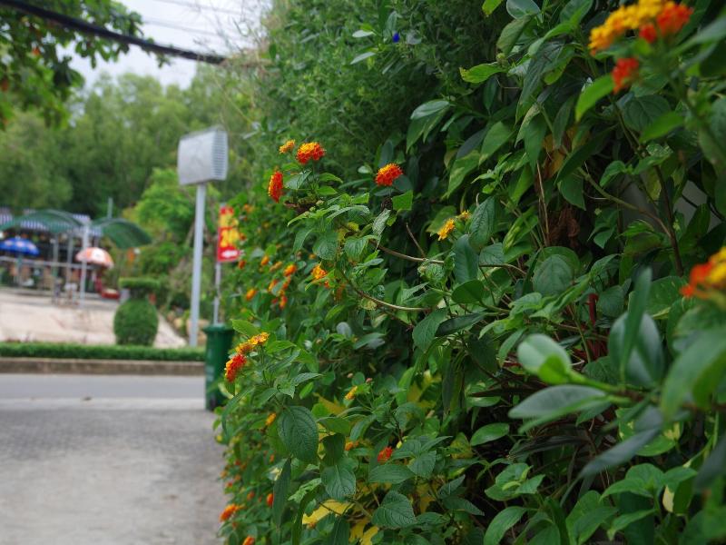 Ngoc Chau Hotel Phu Quoc