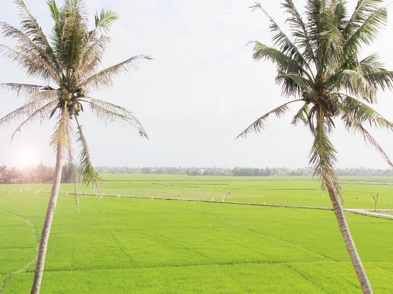 HOI AN FOUR SEASONS VILLA image