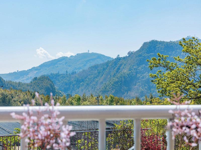 TSUBI SEEKING ALISHAN SUNRISE image